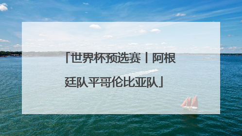 世界杯预选赛丨阿根廷队平哥伦比亚队