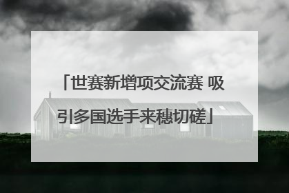 世赛新增项交流赛 吸引多国选手来穗切磋