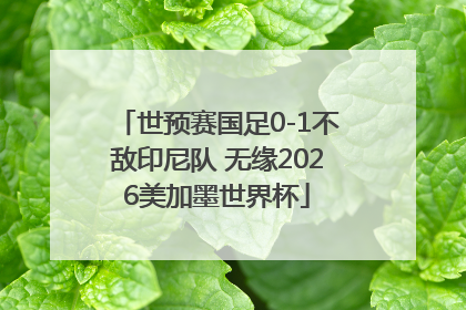 世预赛国足0-1不敌印尼队 无缘2026美加墨世界杯