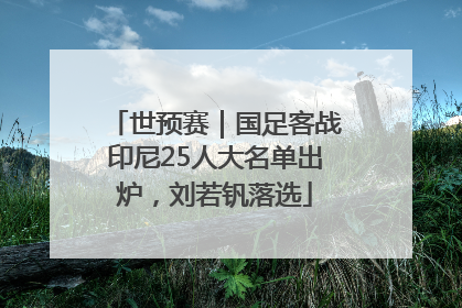 世预赛｜国足客战印尼25人大名单出炉，刘若钒落选