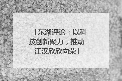 东湖评论：以科技创新聚力，推动江汉欣欣向荣