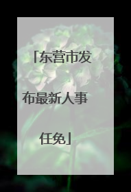 东营市发布最新人事任免