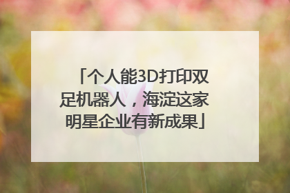 个人能3D打印双足机器人，海淀这家明星企业有新成果