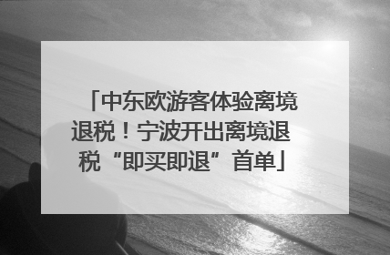 中东欧游客体验离境退税！宁波开出离境退税“即买即退”首单
