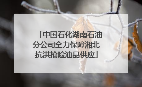 中国石化湖南石油分公司全力保障湘北抗洪抢险油品供应