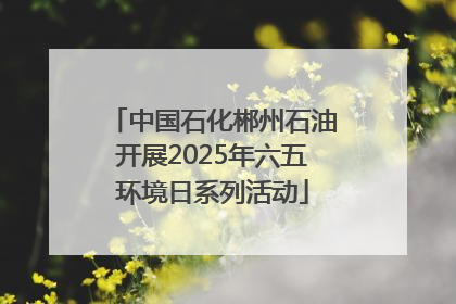 中国石化郴州石油开展2025年六五环境日系列活动