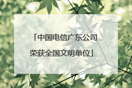 中国电信广东公司荣获全国文明单位