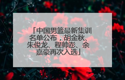 中国男篮最新集训名单公布，胡金秋、朱俊龙、程帅澎、余嘉豪再次入选