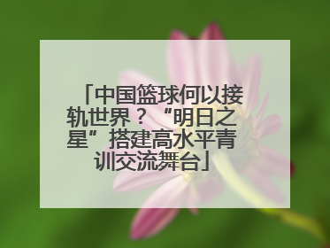 中国篮球何以接轨世界？“明日之星”搭建高水平青训交流舞台