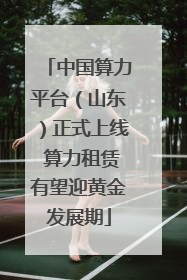 中国算力平台（山东）正式上线 算力租赁有望迎黄金发展期