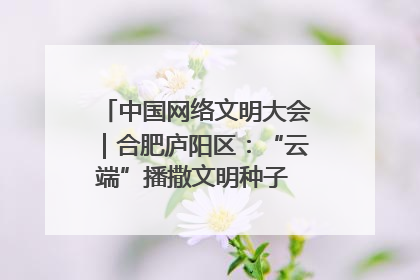 中国网络文明大会｜合肥庐阳区：“云端”播撒文明种子 共建清朗网络空间