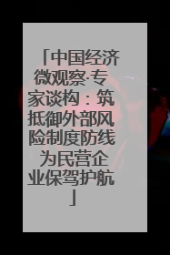 中国经济微观察·专家谈构：筑抵御外部风险制度防线 为民营企业保驾护航