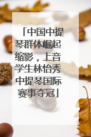 中国中提琴群体崛起缩影，上音学生林怡秀中提琴国际赛事夺冠