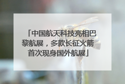 中国航天科技亮相巴黎航展，多款长征火箭首次现身国外航展