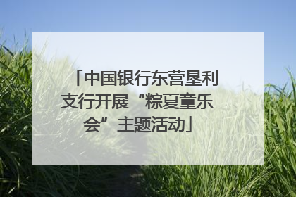 中国银行东营垦利支行开展“粽夏童乐会”主题活动