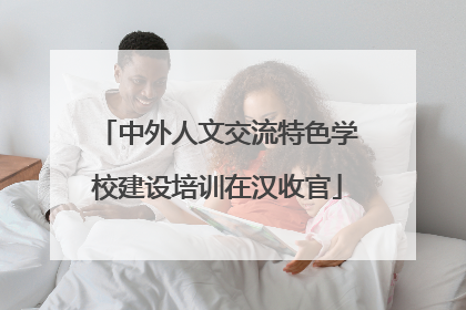 中外人文交流特色学校建设培训在汉收官