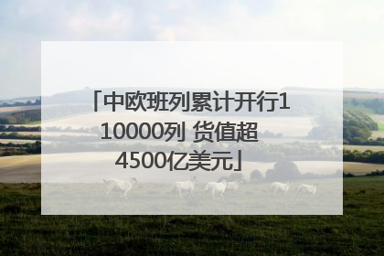 中欧班列累计开行110000列 货值超4500亿美元