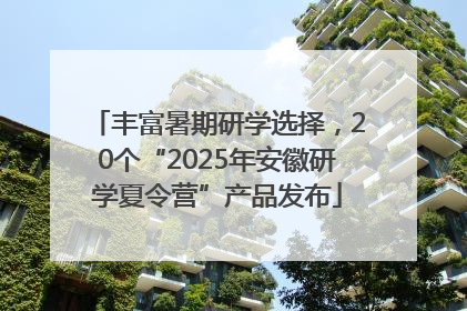 丰富暑期研学选择，20个“2025年安徽研学夏令营”产品发布