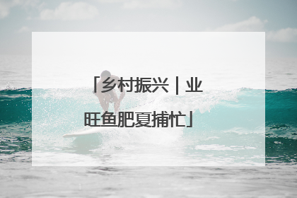 乡村振兴｜业旺鱼肥夏捕忙