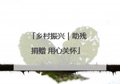 乡村振兴｜助残捐赠 用心关怀