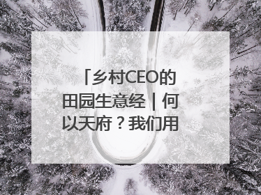 乡村CEO的田园生意经｜何以天府？我们用粮食作答④