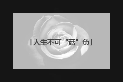 人生不可“菇”负