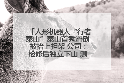 人形机器人“行者泰山”泰山首秀滑倒被抬上担架 公司：检修后独立下山 测试就是为暴露问题