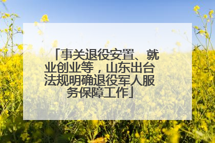 事关退役安置、就业创业等，山东出台法规明确退役军人服务保障工作