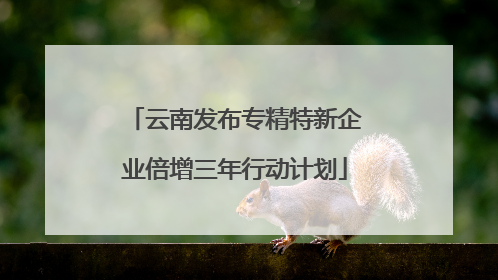 云南发布专精特新企业倍增三年行动计划