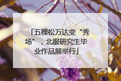 五棵松万达变“秀场”，北服研究生毕业作品展举行