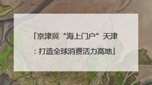 京津冀“海上门户”天津：打造全球消费活力高地