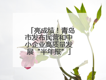 亮成绩！青岛市发布民营和中小企业高质量发展“半年报”
