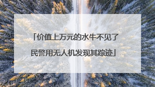价值上万元的水牛不见了 民警用无人机发现其踪迹