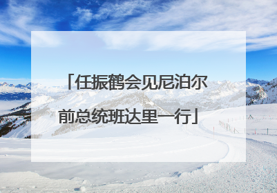 任振鹤会见尼泊尔前总统班达里一行