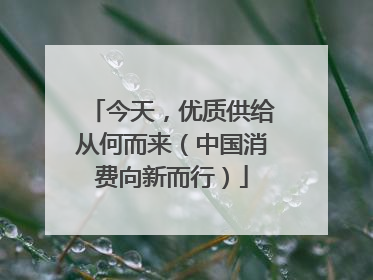 今天，优质供给从何而来（中国消费向新而行）