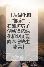 从绿化树“搬家”，看潍坊坊子创新道路绿化机制实现降本增效生态美