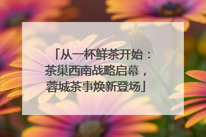 从一杯鲜茶开始：茶巢西南战略启幕，蓉城茶事焕新登场