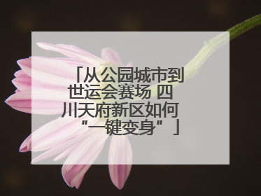 从公园城市到世运会赛场 四川天府新区如何“一键变身”
