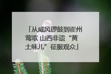 从威风锣鼓到霍州莺歌 山西非遗“黄土味儿”征服观众