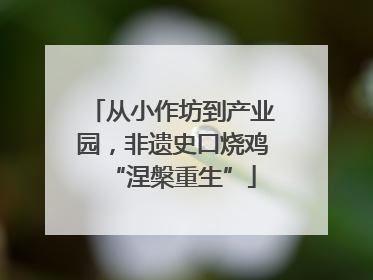 从小作坊到产业园，非遗史口烧鸡“涅槃重生”