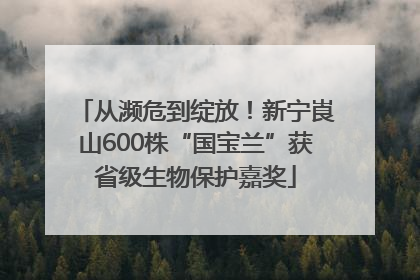 从濒危到绽放！新宁崀山600株“国宝兰”获省级生物保护嘉奖
