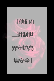 他们在二进制世界守护高墙安全