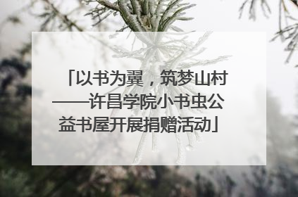 以书为翼，筑梦山村——许昌学院小书虫公益书屋开展捐赠活动