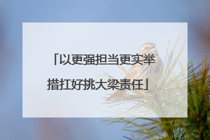 以更强担当更实举措扛好挑大梁责任