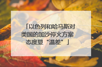 以色列和哈马斯对美国的加沙停火方案态度显“温差”