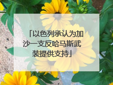 以色列承认为加沙一支反哈马斯武装提供支持