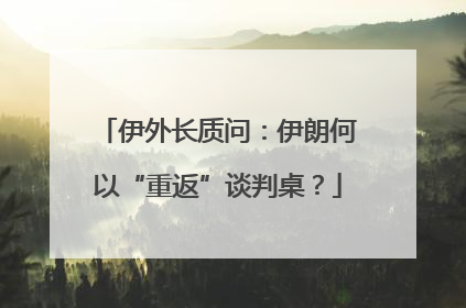 伊外长质问：伊朗何以“重返”谈判桌？