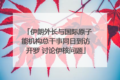 伊朗外长与国际原子能机构总干事同日到访开罗 讨论伊核问题