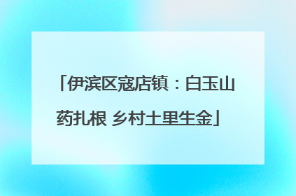 伊滨区寇店镇：白玉山药扎根 乡村土里生金