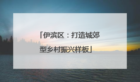 伊滨区：打造城郊型乡村振兴样板